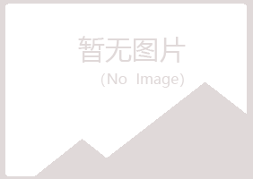 兴山县沉沦服务有限公司